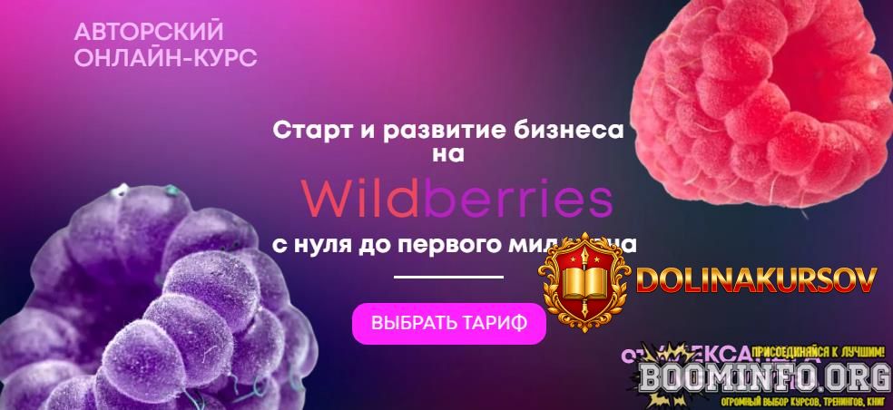 aleksandr-merkulov-start-i-razvitie-biznesa-na-wildberries-s-nulja-do-pervogo-milliona-2021.63...jpg