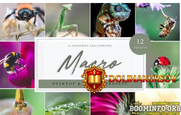 elements-envato-lightroom-presets-macro-vol-1-2021.64706.jpg
