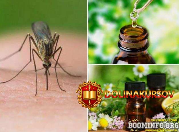 ilja-chumakov-kleschi-komary-i-t-p-kak-zaschitit-ljudej-i-zhivotnyx-s-pomoschju-ehfirnyx-masel...jpg