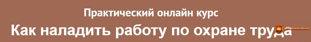 kak-naladit-rabotu-po-oxrane-truda-julija-zhizherina.466557.jpg