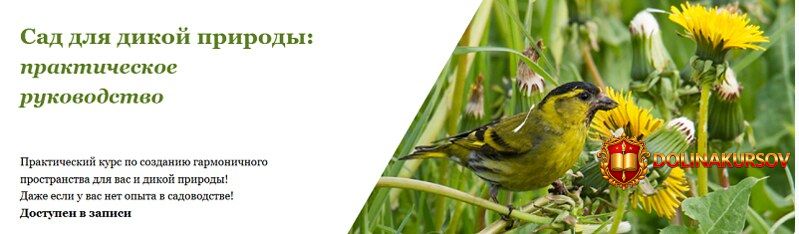 sad-dlja-dikoj-prirody-prakticheskoe-rukovodstvo-anzhela-zhuravel.466589.jpg