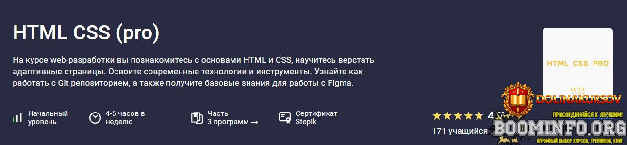 stepik-html-css-pro-2024.80918.jpg